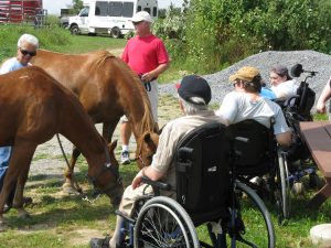 horse activities