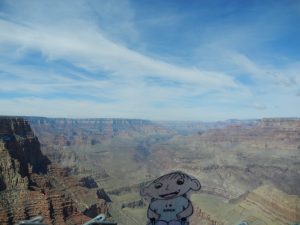 Flat Sawyer at the Grand Canyon